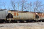 IC 799813